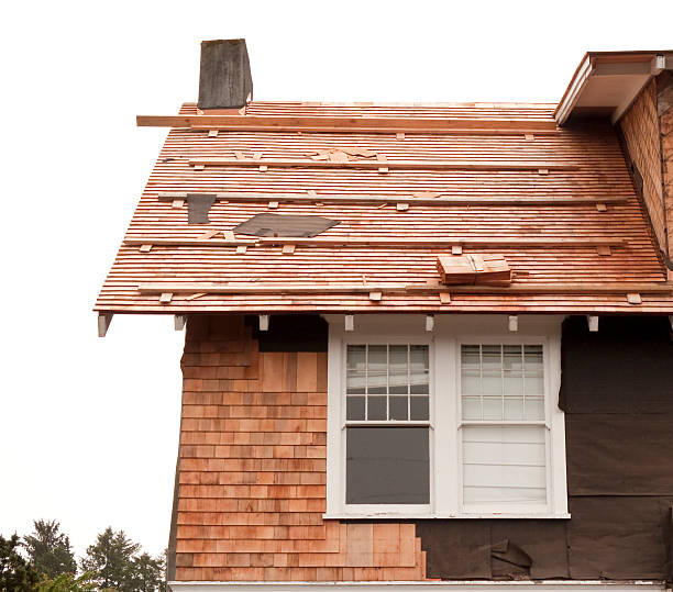 Best Historical Building Siding Restoration  in Thornwood, NY